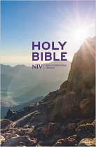 NIV Thinline Value Bible