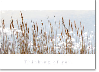 THINKING OF YOU INSPIRE CARD