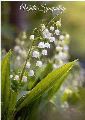 LILY OF THE VALLEY SYMPATHY CARD