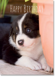 HAPPY BIRTHDAY HAPPY BIRTHDAY