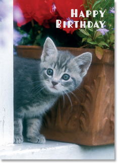 HAPPY BIRTHDAY HAPPY BIRTHDAY