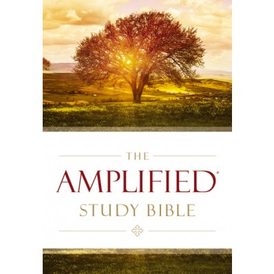 AMPLIFIED STUDY BIBLE HB