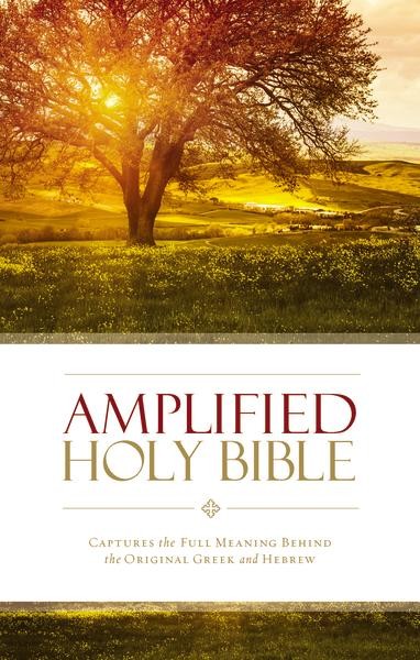 AMPLIFIED BIBLE LARGE PRINT HB