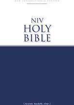 NIV ECONOMY BIBLE