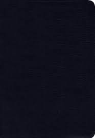 NIV THINLINE BIBLE NIV THINLINE BIBLE