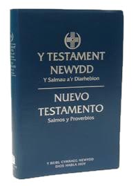 WELSH AND SPANISH NEW TESTAMENT AND PSALMS