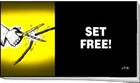 SET FREE CHICK TRACT PACK OF 25