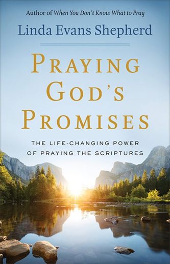 PRAYING GODS PROMISES PRAYING GODS PROMISES