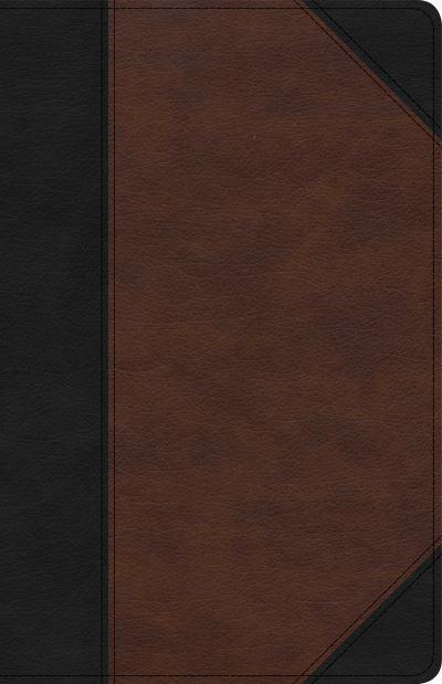 KJV LARGE PRINT REFERENCE BIBLE BROWN