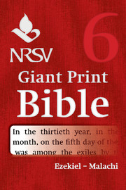 NRSV GIANT PRINT BIBLE VOLUME SIX