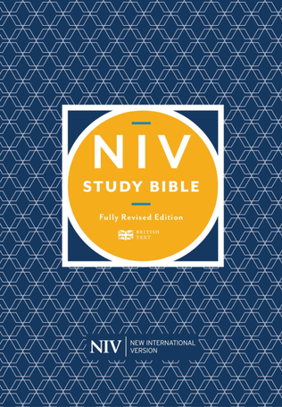 NIV STUDY BIBLE ANGLICIZED