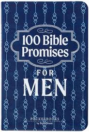 100 BIBLE PROMISES FOR MEN 