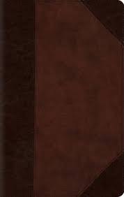 ESV LARGE PRINT COMPACT BIBLE ESV LARGE PRINT COMPACT BIBLE