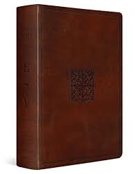 ESV STUDY BIBLE CELTIC WALNUT IMITATION