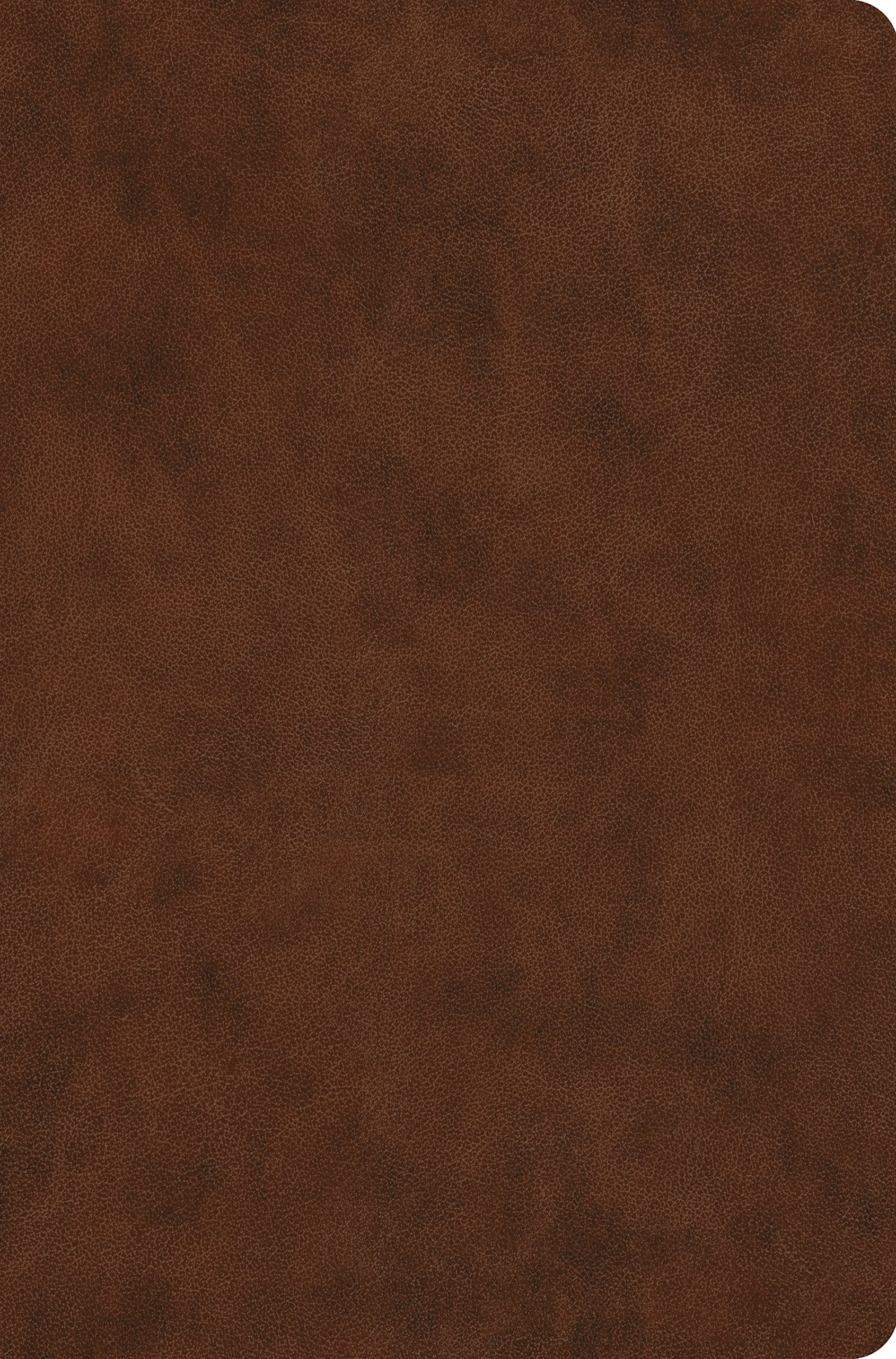 ESV VALUE COMPACT BIBLE BROWN
