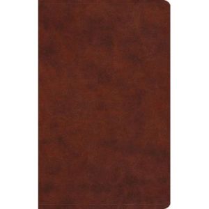 ESV LARGE PRINT VALUE THINLINE BIBLE