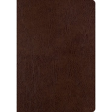 ESV JOURNALING BIBLE LARGE PRINT