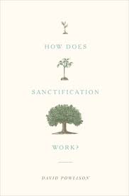 HOW DOES SANCTIFICATION WORK