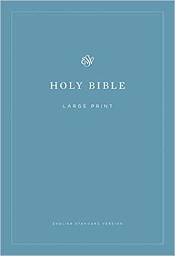 ESV LARGE PRINT BIBLE