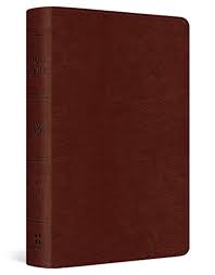 ESV POCKET BIBLE CHESTNUT ESV POCKET BIBLE CHESTNUT