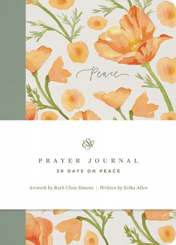 30 DAYS ON PEACE PRAYER JOURNAL 