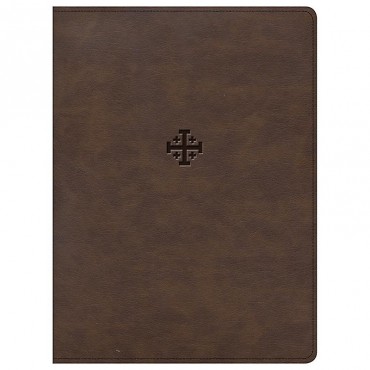 CSB LIFE CONNECTIONS STUDY BIBLE