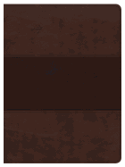 CSB APOLOGETICS STUDY BIBLE