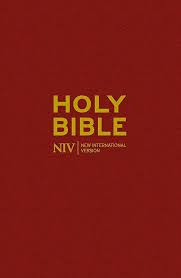 NIV POPULAR BIBLE BURGUNDY PACK OF 20 NIV POPULAR BIBLE BURGUNDY PACK OF 20