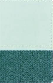 NIV ZONDERVAN STUDY BIBLE PERSONAL SIZE NIV ZONDERVAN STUDY BIBLE PERSONAL SIZE