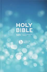 NIV 2011 LARGER PRINT BLUE HB PACK OF 10