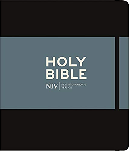 NIV JOURNALLING BIBLE 