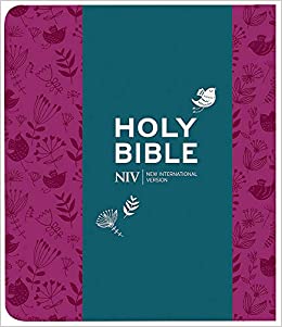 NIV JOURNALLING BIBLE NIV JOURNALLING BIBLE