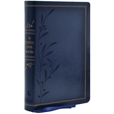 THE COMPLETE JEWISH STUDY BIBLE THE COMPLETE JEWISH STUDY BIBLE