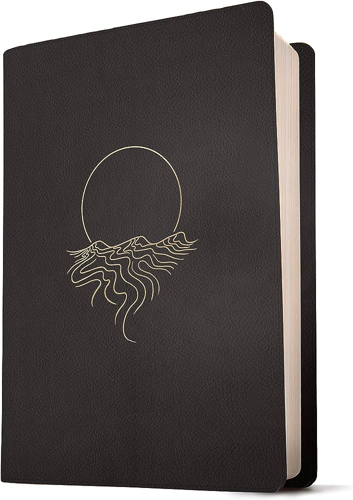 MESSAGE THINLINE LARGE PRINT BIBLE BLACK MESSAGE THINLINE LARGE PRINT BIBLE BLACK