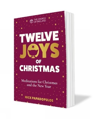TWELVE JOYS OF CHRISTMAS PACK OF 10