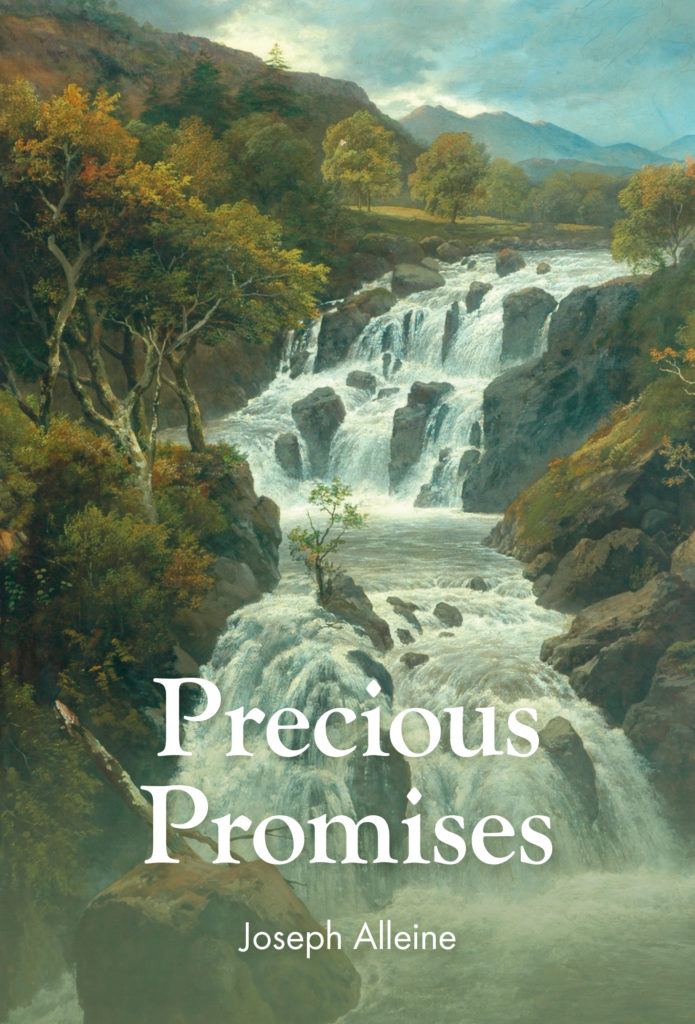 PRECIOUS PROMISES