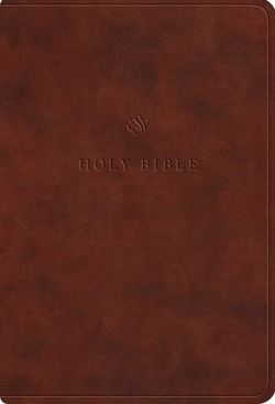 ESV LARGE PRINT COMPACT BIBLE TAN