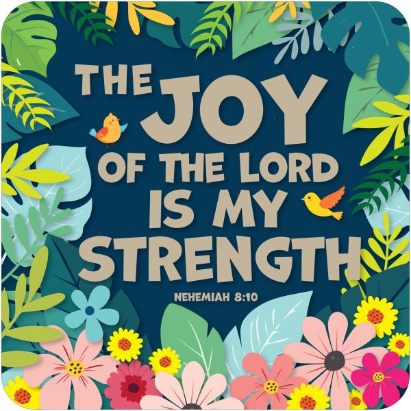 JOY COASTERS  