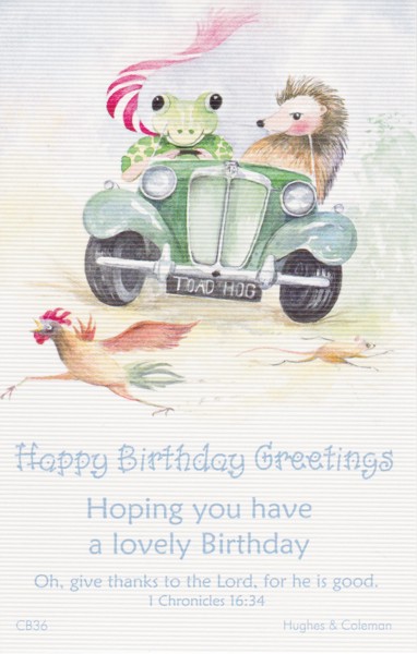 BIRTHDAY POSTCARD PACKET TOAD/HEDGEHOG PACK OF 12