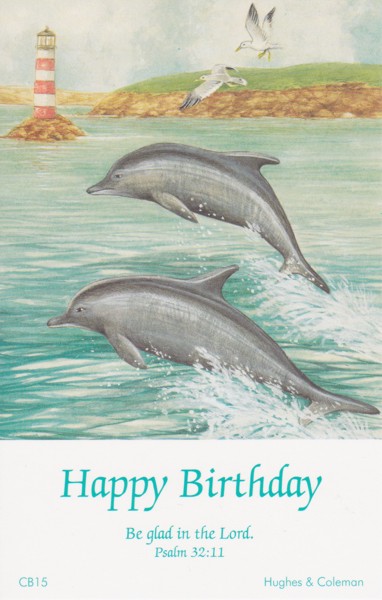 BIRTHDAY POSTCARD PACKET DOLPHIN PACK OF 12