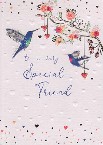 TO A SPECIAL FRIEND BIRTHDAY CARD