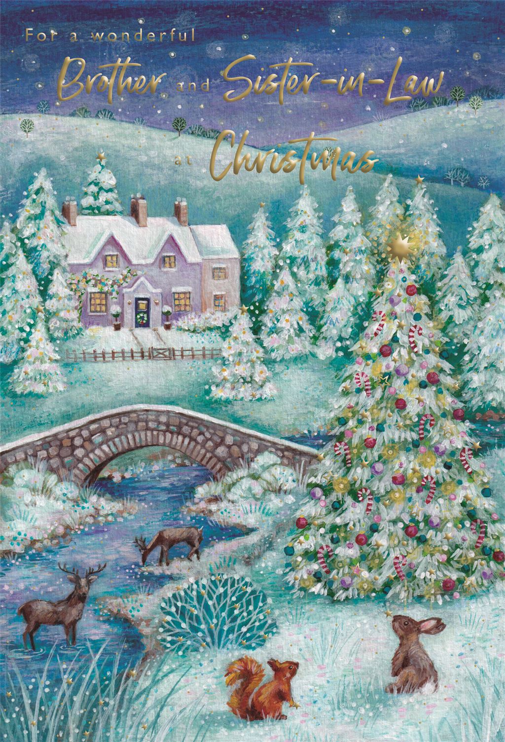BROTHER AND SISTER IN LAW CHRISTMAS CARD BROTHER AND SISTER IN LAW CHRISTMAS CARD