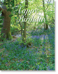 HAPPY BIRTHDAY PETITE CARD HAPPY BIRTHDAY PETITE CARD