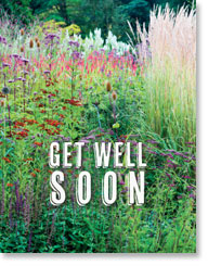 GET WELL PETITE CARD