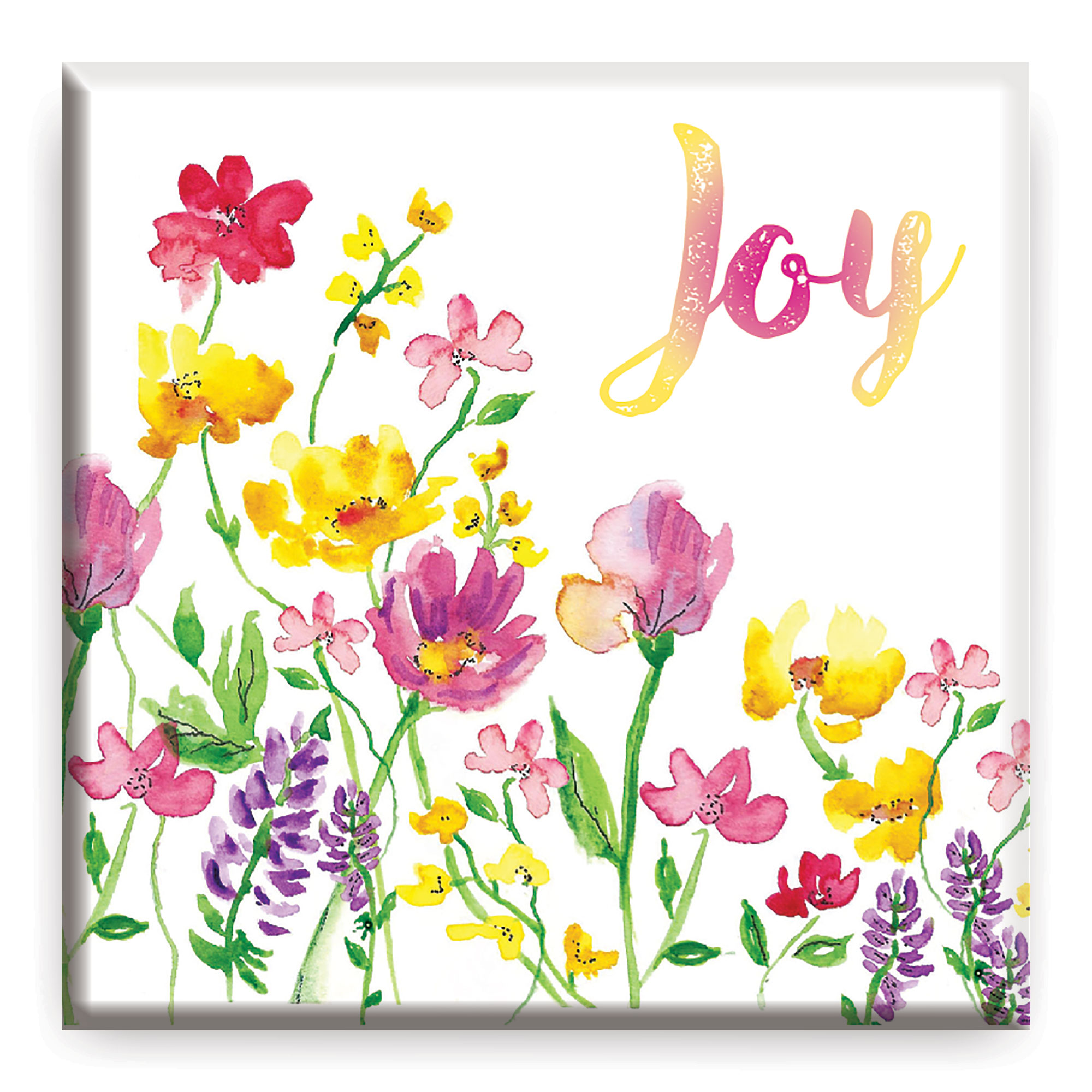 JOY MAGNET JOY MAGNET