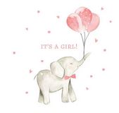 ITS A GIRL ELEPHANT