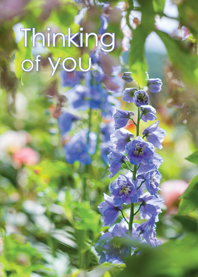 THINKING OF YOU CARD