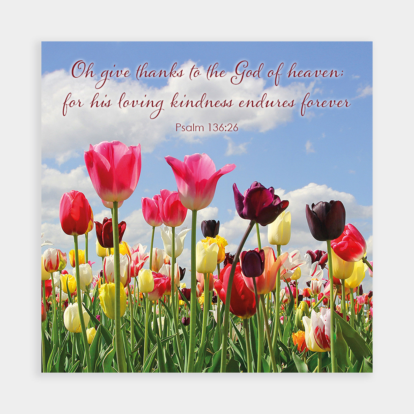 SPRING TULIPS EASTER CARDS SPRING TULIPS EASTER CARDS