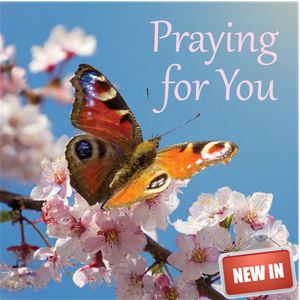 PRAYING FOR YOU GREETINGS CARD