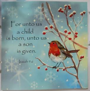 ROBIN IN THE SNOW PACK OF 5 CHRISTMAS CARDS